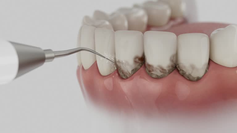 Reliable Dental contractor in Darien, GA by Dentist Open Now